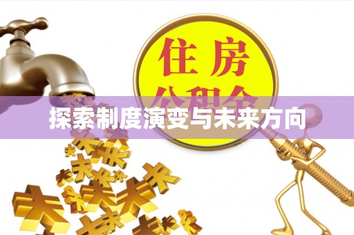 漳县探索制度演变与未来方向