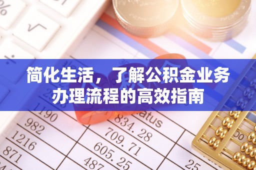 漳县简化生活，了解公积金业务办理流程的高效指南