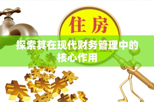 漳县探索其在现代财务管理中的核心作用