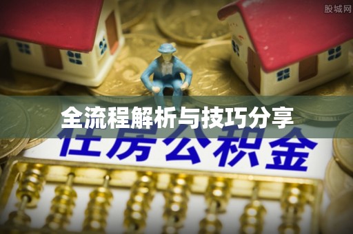 漳县全流程解析与技巧分享